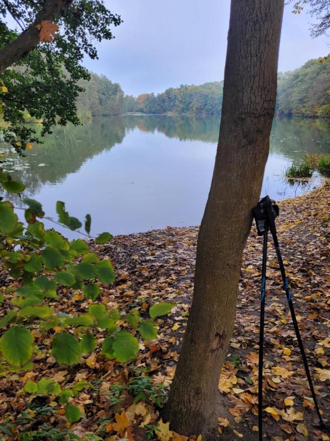 Lake Houselubniewice Domek Caloroczny Z Jacuzzi Blisko Jeziora Buitenkant foto